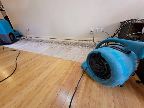 Professional Water Removal technician working in Ashton, IL